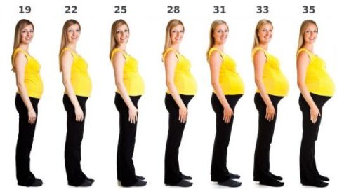 مراحل الحمل بالأسابيع والأشهر