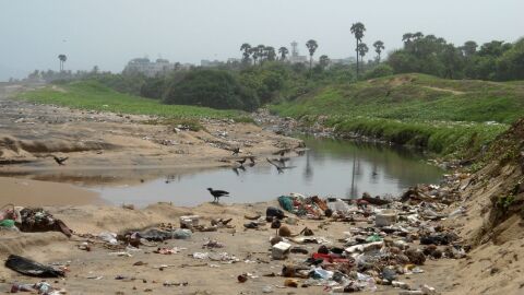 موضوع تعبير عن تلوث نهر النيل