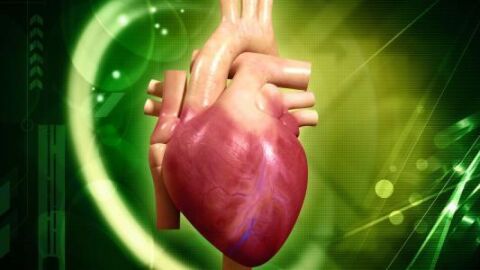 علاج ضعف عضلة القلب