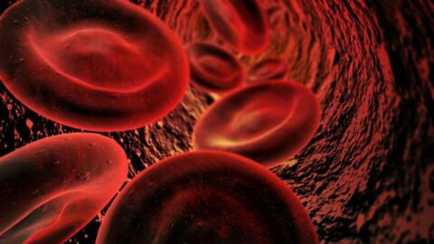 علاج نقص مخزون الحديد في الدم