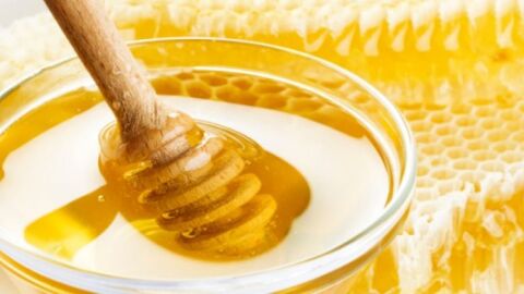 علاج قرحة الرحم بالعسل