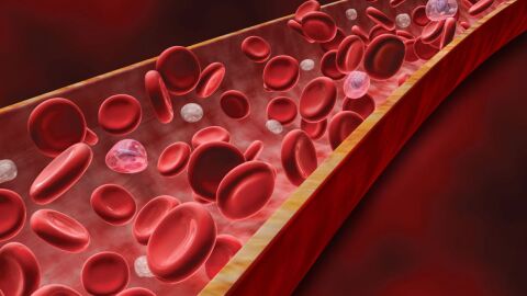 علاج انخفاض الهيموجلوبين في الدم