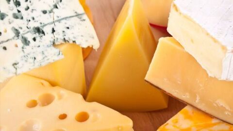 صناعة الجبنة الرومي