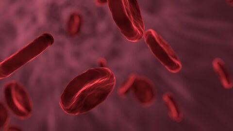 أنواع فقر الدم بالتفصيل
