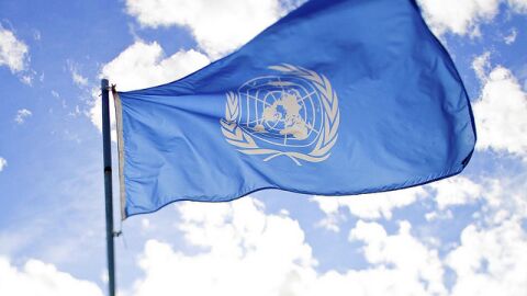 مم تتكون هيئة الأمم المتحدة