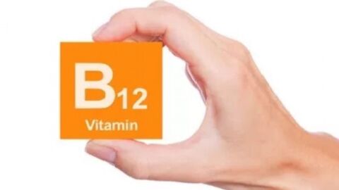 فيتامين b12 للحامل
