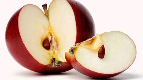 ما هي فوائد بذور التفاح