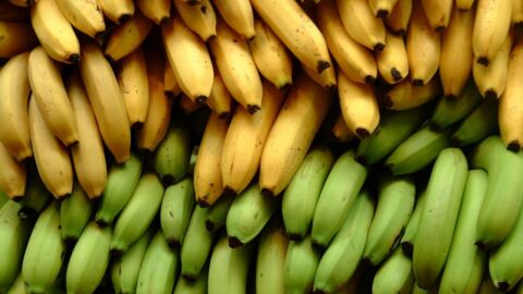 ما فوائد الموز