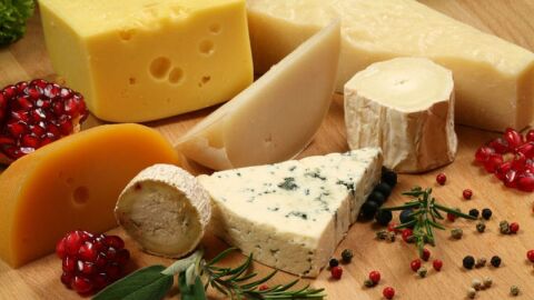 ما فوائد الجبن