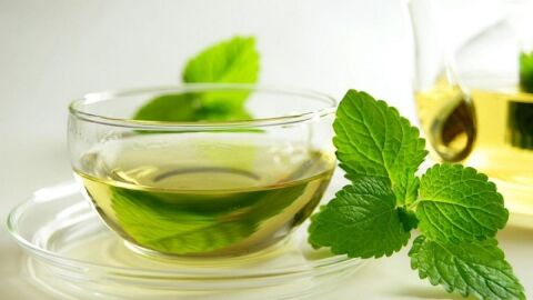 ما هي فوائد الشاي الأخضر بالنعناع