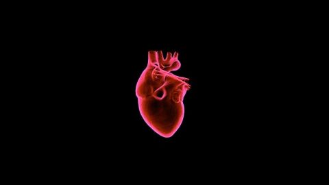ما هي أسباب تضخم القلب