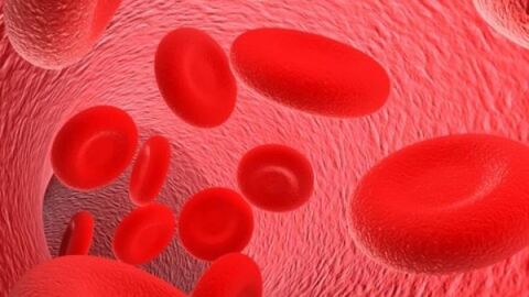 ما هي أسباب نقص الحديد في الدم