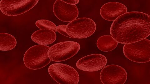 ما هي مكونات الدم التي تساعد على التجلط