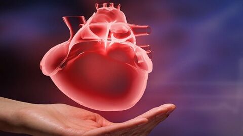 ما هي أعراض تضخم القلب