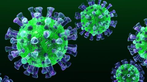 ما هي أعراض فيروس الكورونا