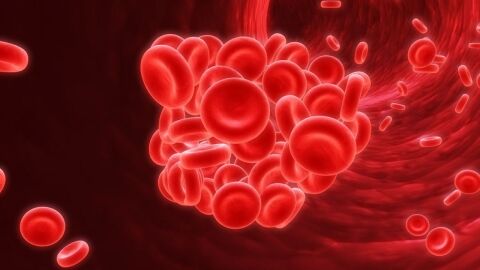 ما هي أعراض زيادة الدم في الجسم