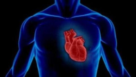 ما سبب زيادة دقات القلب