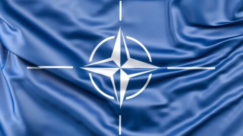 مم يتكون حلف الناتو