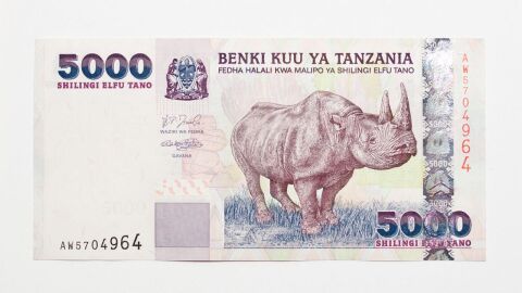 ما هي العملة المستخدمة في تنزانيا