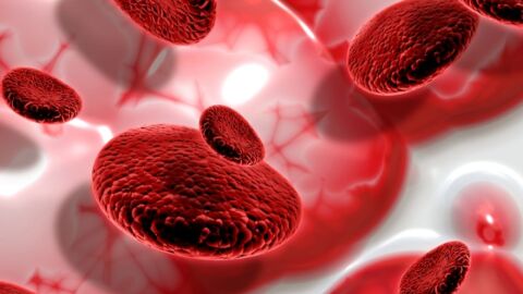 ماذا يعني نقص الهيموجلوبين في الدم