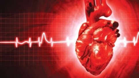 ما هو نبض القلب الطبيعي