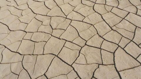 ماذا يسمى جفاف الأرض تدريجياً