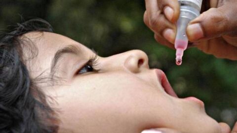 ما هو شلل الاطفال
