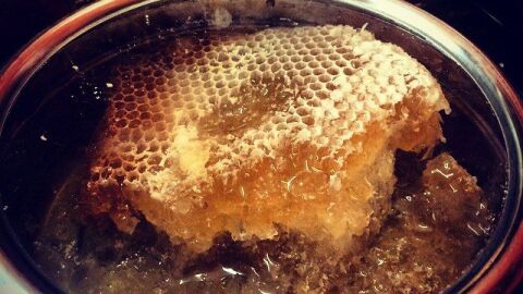 ما هو عسل السدر
