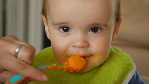 ما هو أفضل طعام للطفل في الشهر السادس