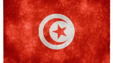 ما عاصمة تونس