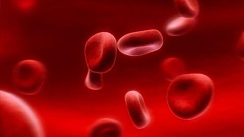 ما سبب فقر الدم في الجسم