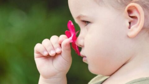 ما هو سبب رائحة الفم الكريهة عند الأطفال