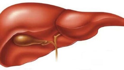 ما هو سبب تضخم الكبد