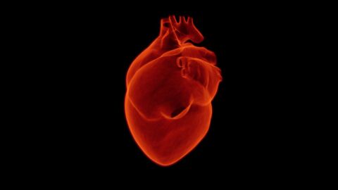 ما هو سبب ضعف عضلة القلب