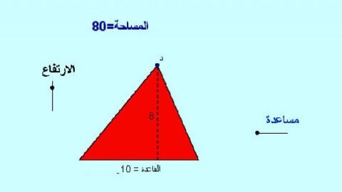 ما هو محيط المثلث