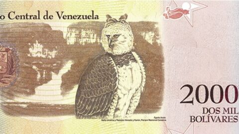 ما العملة المتداولة في فنزويلا