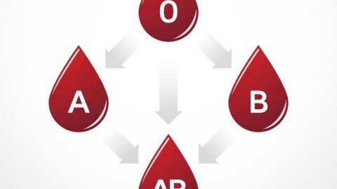 ما الفرق بين فصائل الدم