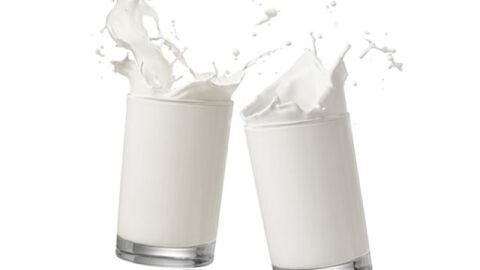 ما الفرق بين الحليب واللبن