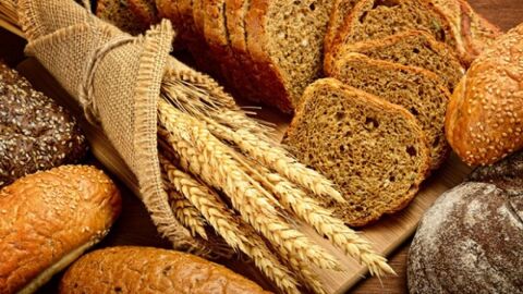 ما الفرق بين القمح والشعير