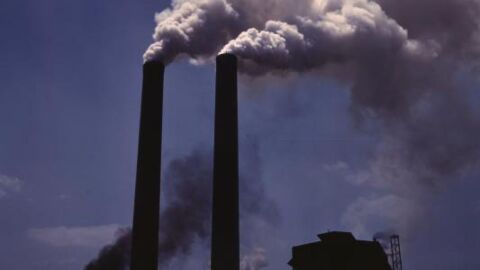 ما هي أضرار التلوث البيئي