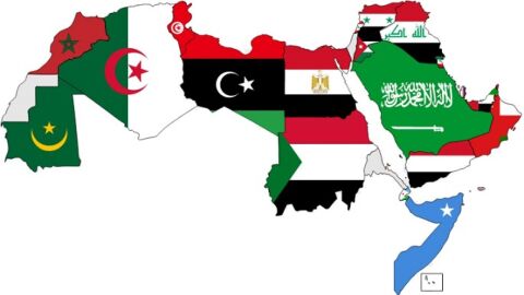 ما هي أكبر دولة عربية مساحة