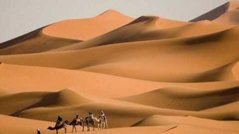 ما هي أكبر صحراء بالعالم