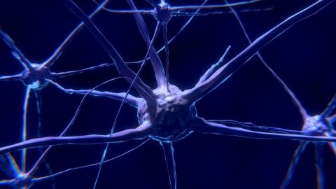 ما هو الجهاز العصبي