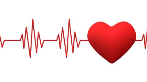 ما هو معدل دقات القلب الطبيعي