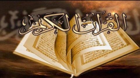 ما هو عدد سور القرآن الكريم