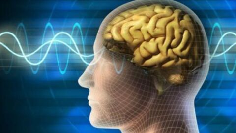 ما هو علاج الاستسقاء الدماغي - فيديو