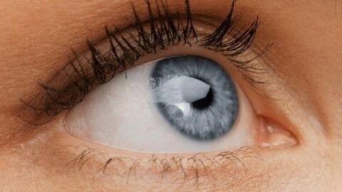 ما هو علاج رفة العين - فيديو