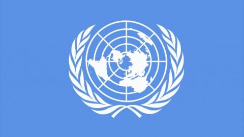 ما هي هيئة الأمم المتحدة