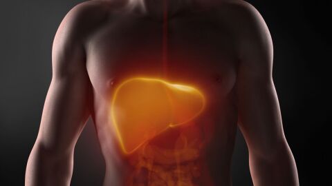 أين يقع الكبد في جسم الإنسان