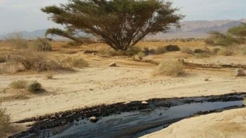 أين يوجد النفط في الأردن